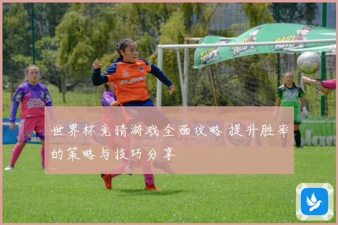 世界杯竞猜游戏全面攻略 提升胜率的策略与技巧分享